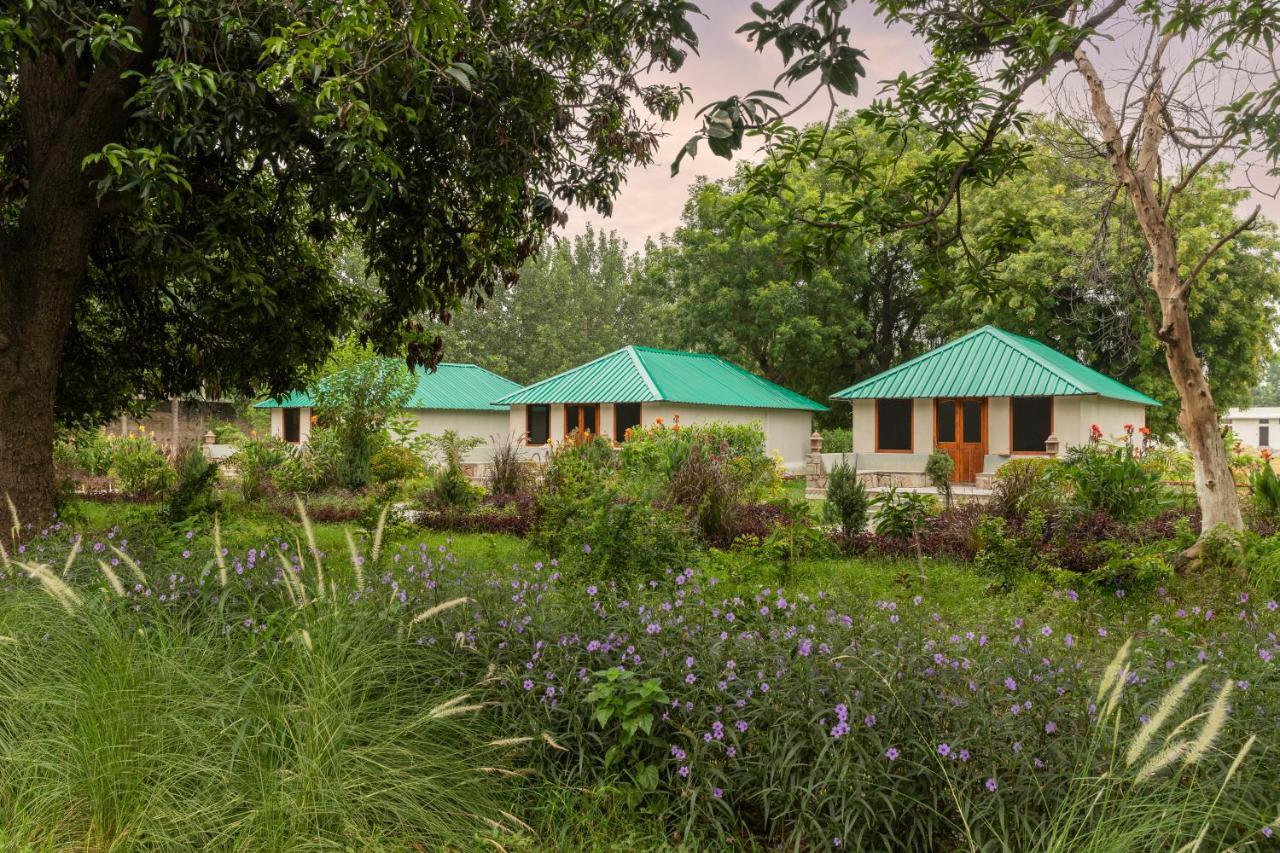 Zana Luxury Forest Resort, Ranthambore ساواي مادهوبور المظهر الخارجي الصورة
