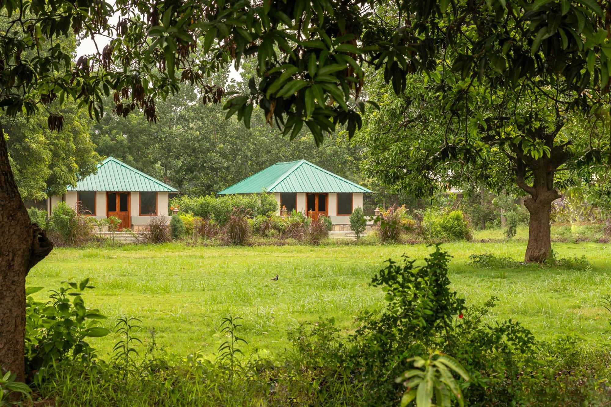 Zana Luxury Forest Resort, Ranthambore ساواي مادهوبور المظهر الخارجي الصورة